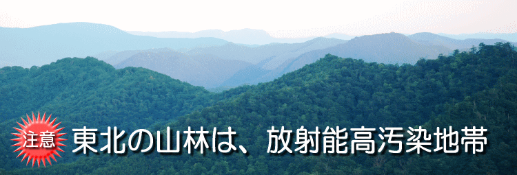 木材の汚染